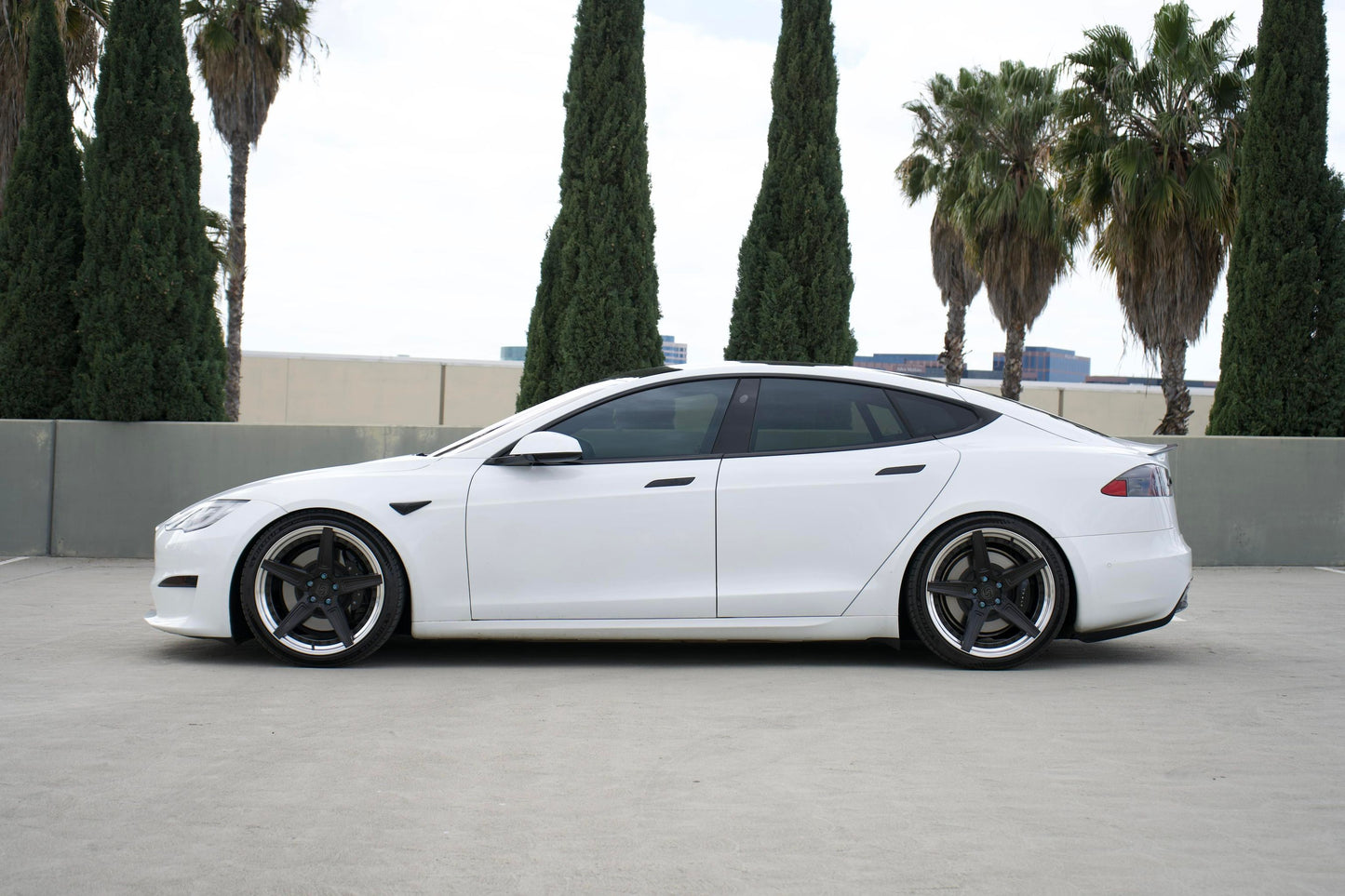 Model S Plaid / 21" SV306s / Staggered