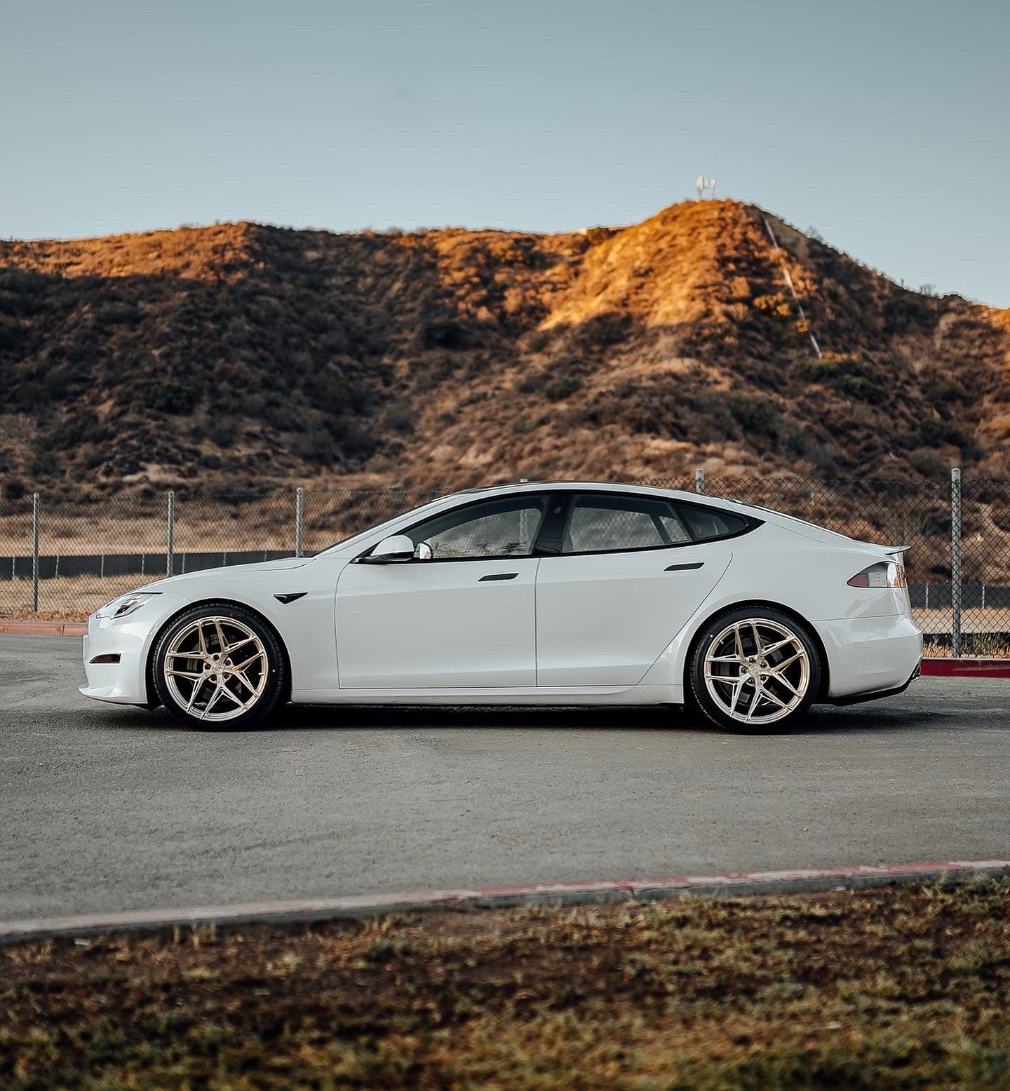 Model S Plaid / 21" SV705 / Royal Gold / Staggered