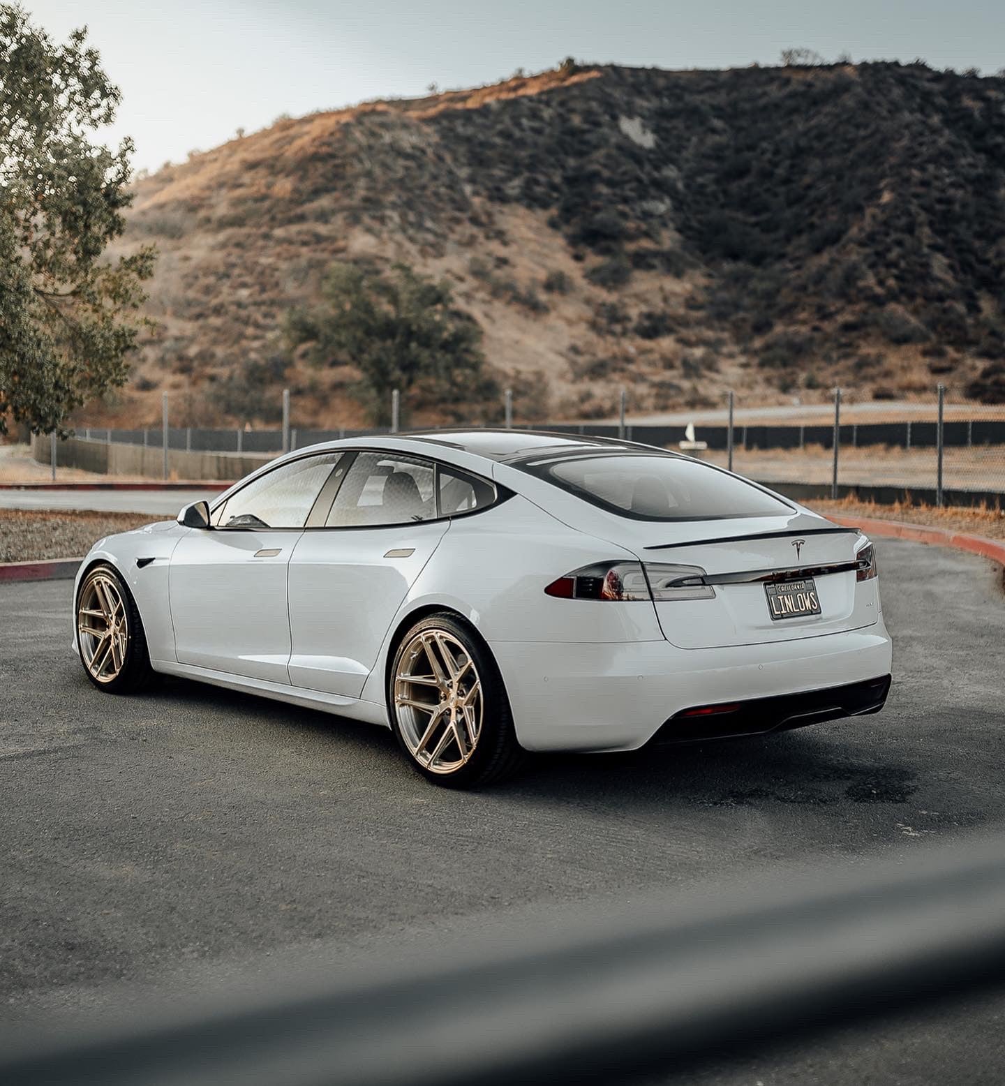 Model S Plaid / 21" SV705 / Royal Gold / Staggered