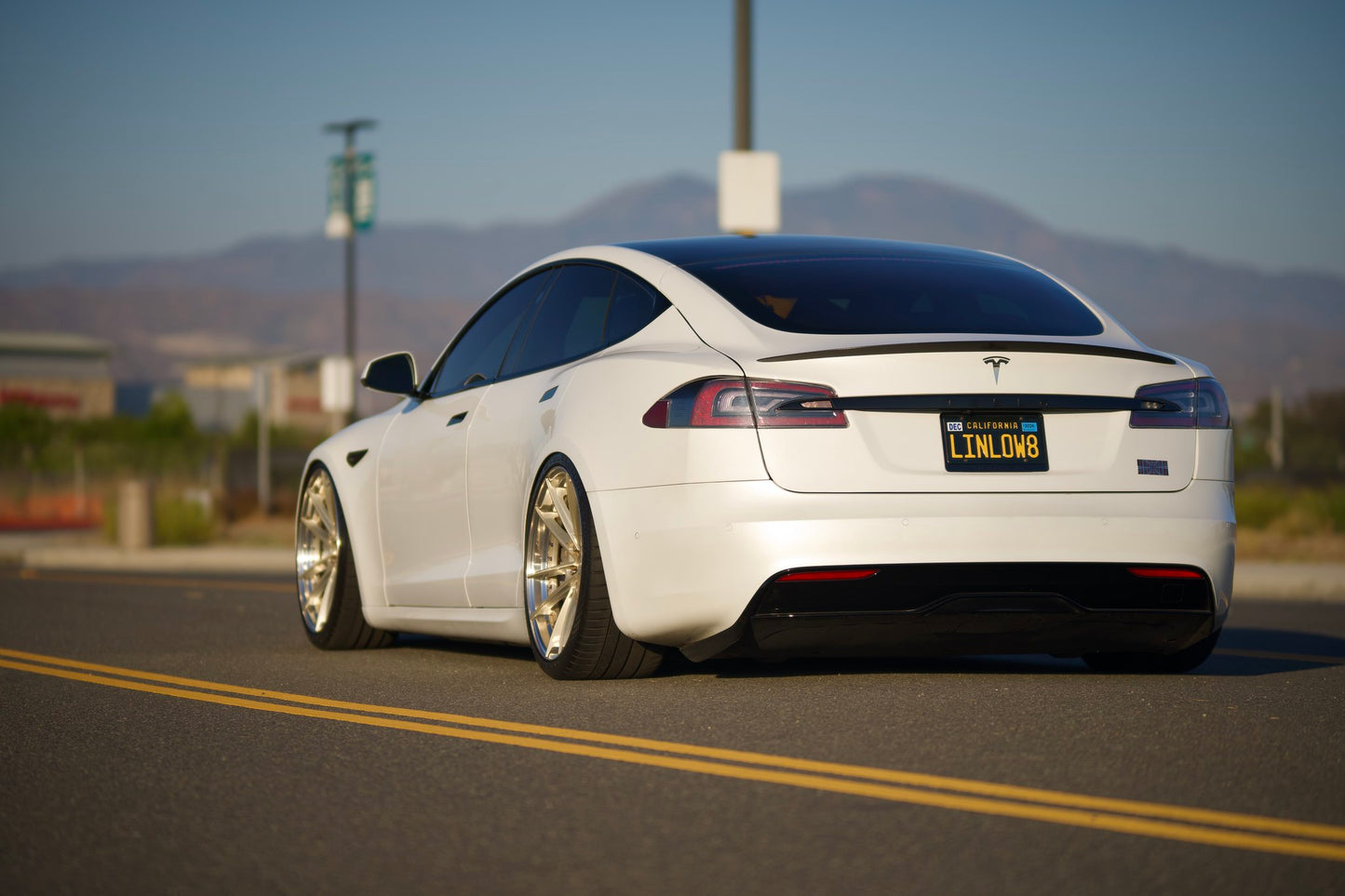 Model S Plaid / 21" SV310s /  Staggered