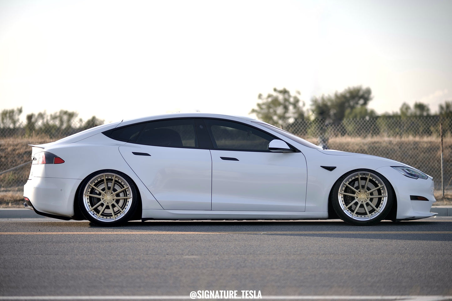 Model S Plaid / 21" SV310s /  Staggered