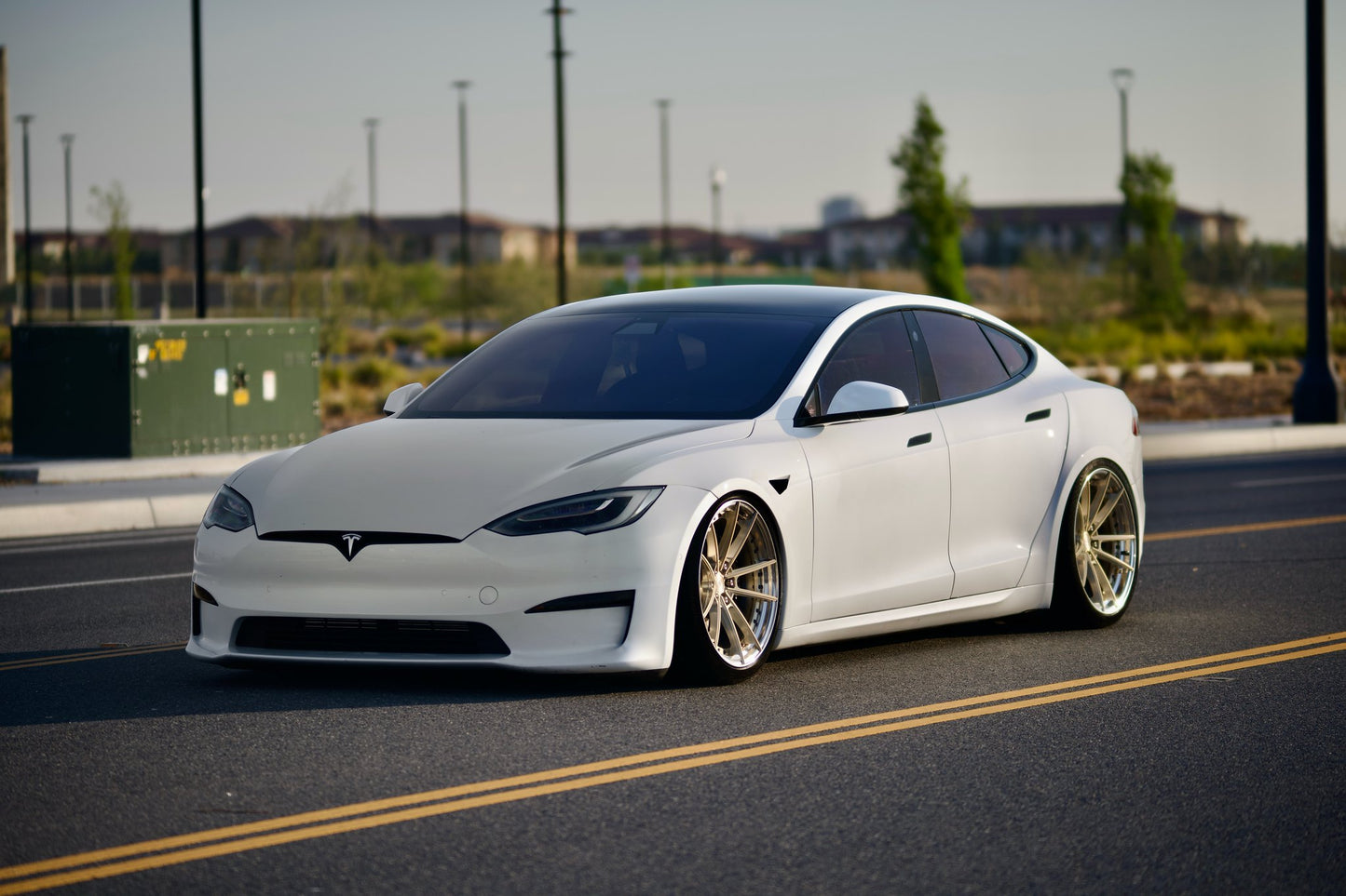 Model S Plaid / 21" SV310s /  Staggered