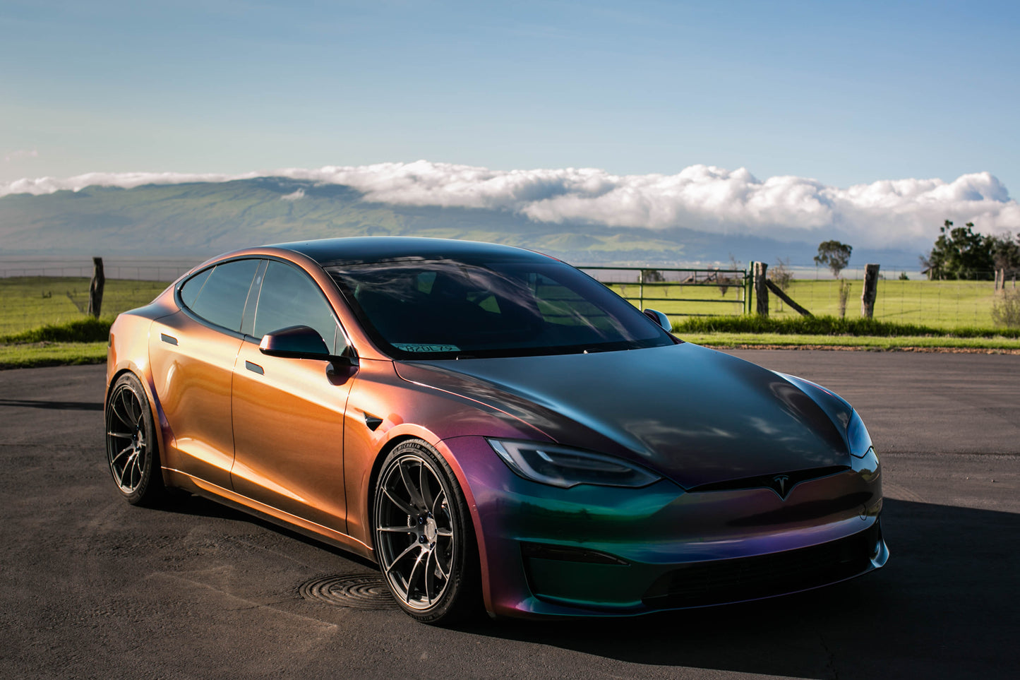 Model S Plaid / 21" SV501 / Gloss gunmetal / Staggered