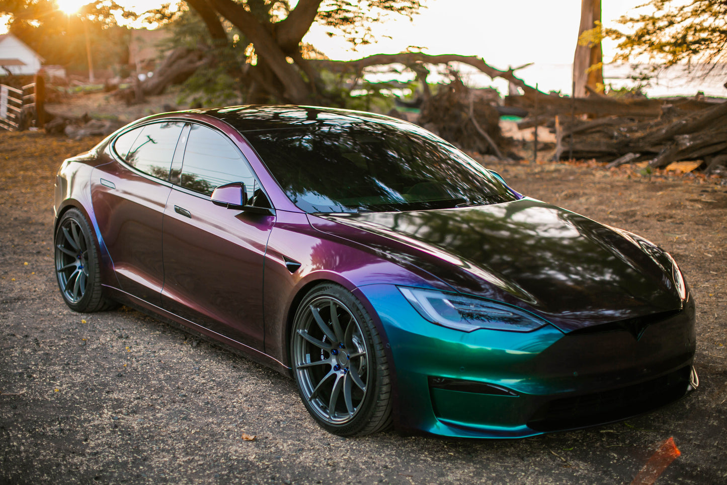 Model S Plaid / 21" SV501 / Gloss gunmetal / Staggered