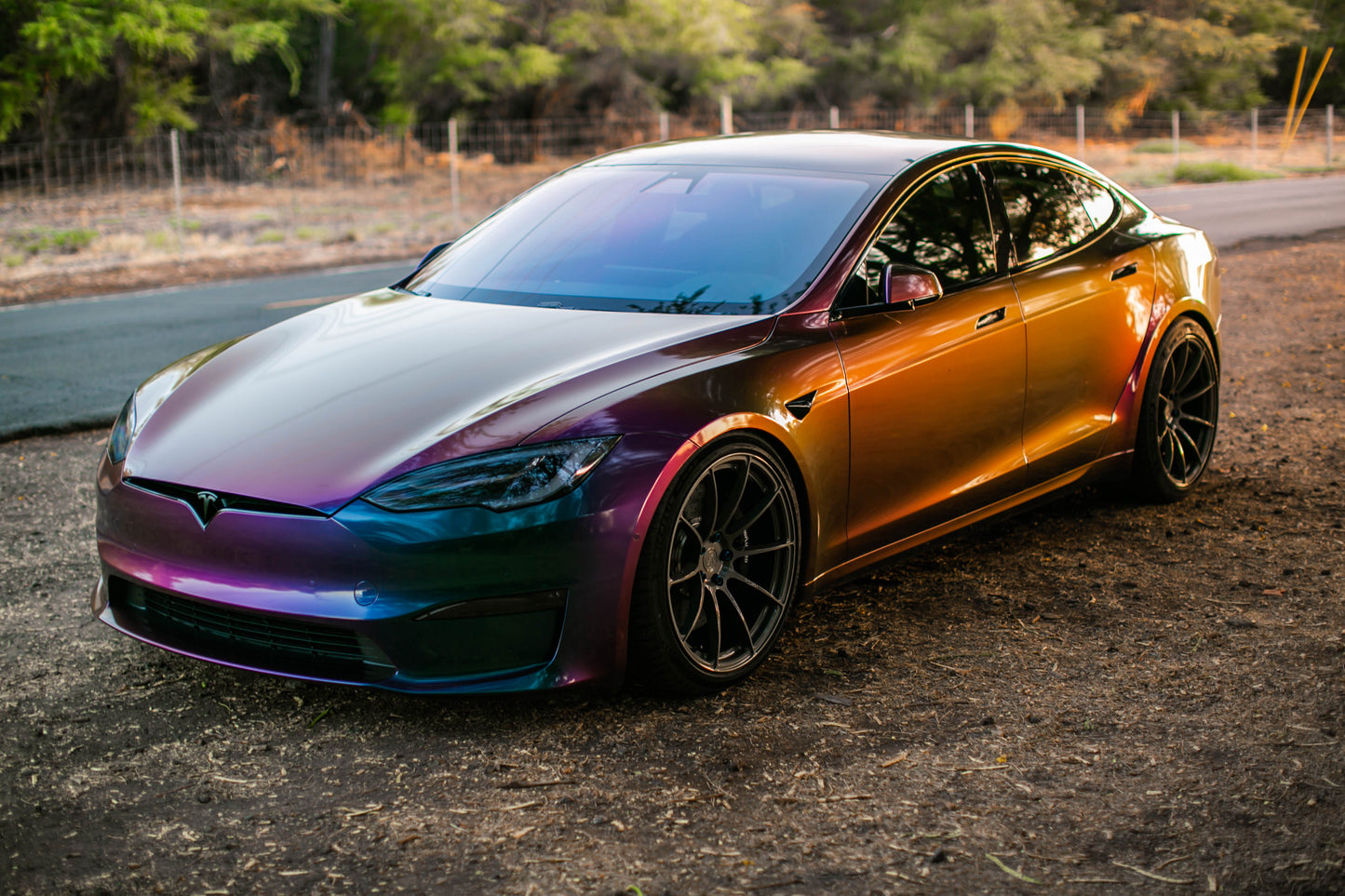 Model S Plaid / 21" SV501 / Gloss gunmetal / Staggered