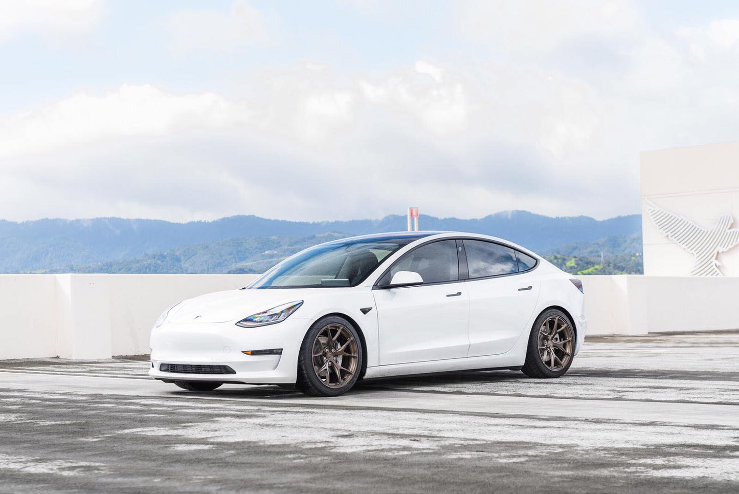 Signature Wheel / 1-Piece / Model 3 Model Y