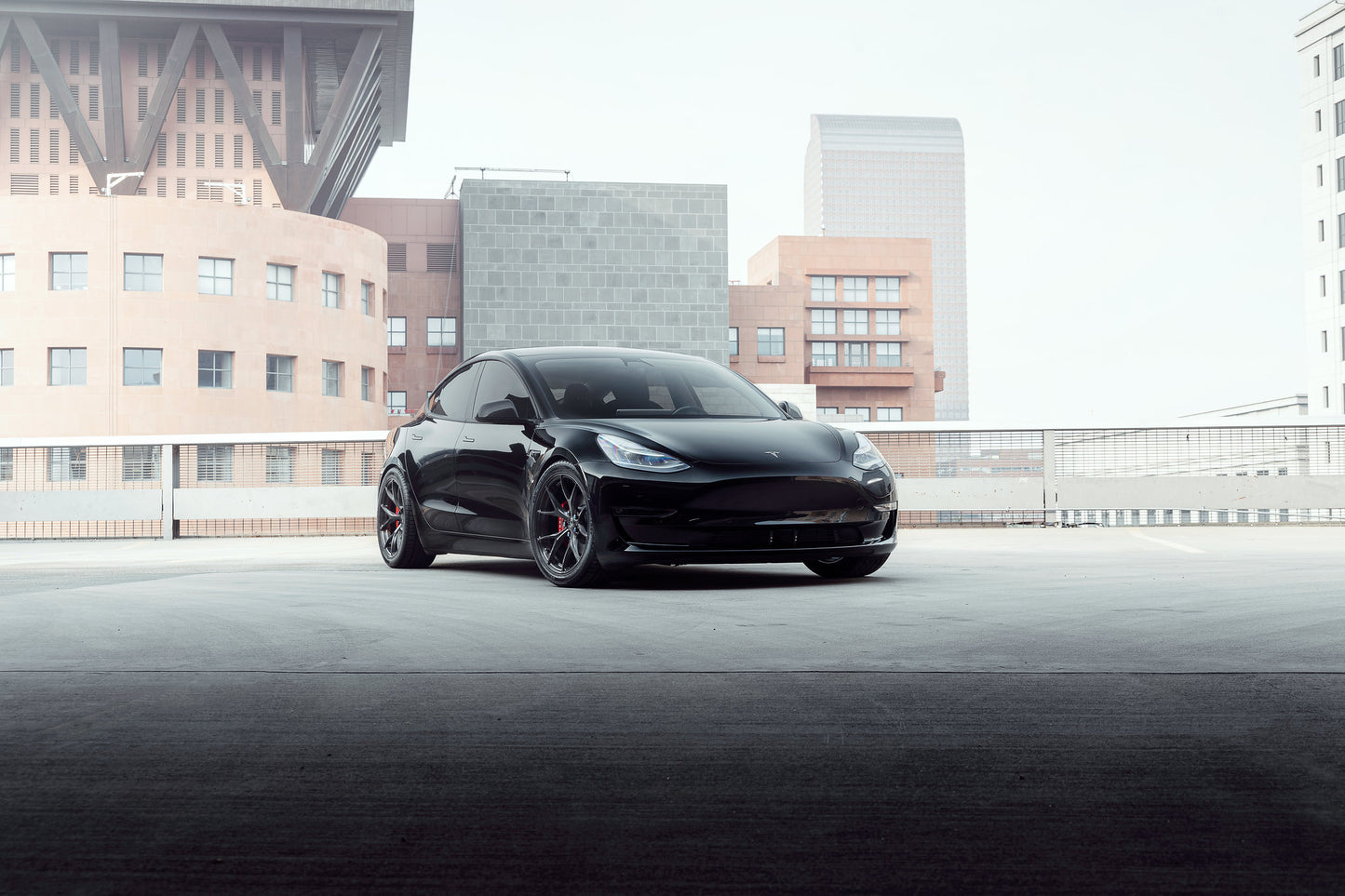 Signature Wheel / 1-Piece / Model 3 Model Y