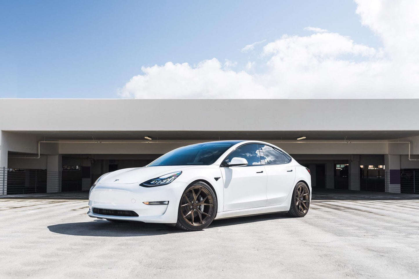 Signature Wheel / 1-Piece / Model 3 Model Y