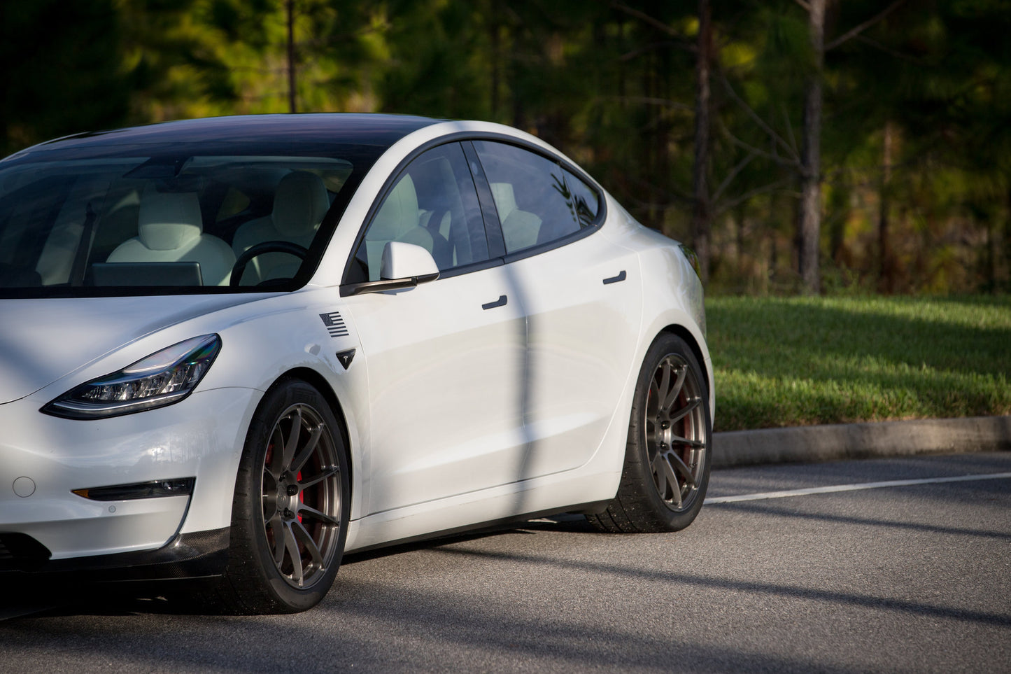Signature Wheel / 1-Piece / Model 3 Model Y