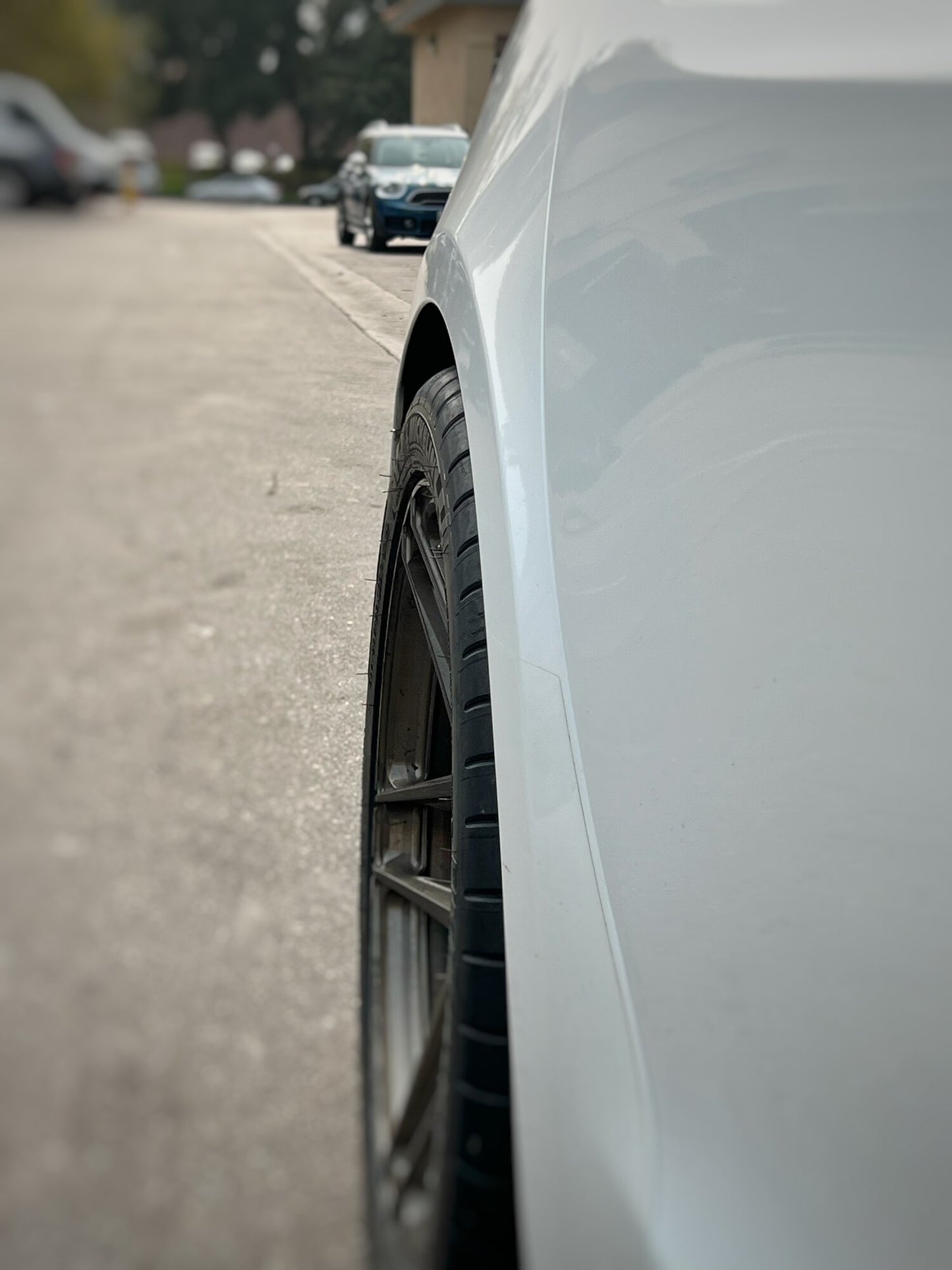 Signature Wheel / 1-Piece / Model S
