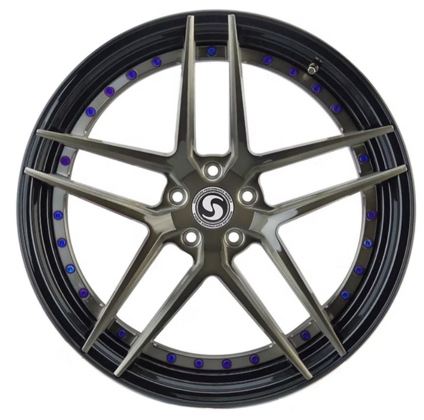 SV301s 20/21 (Z06)